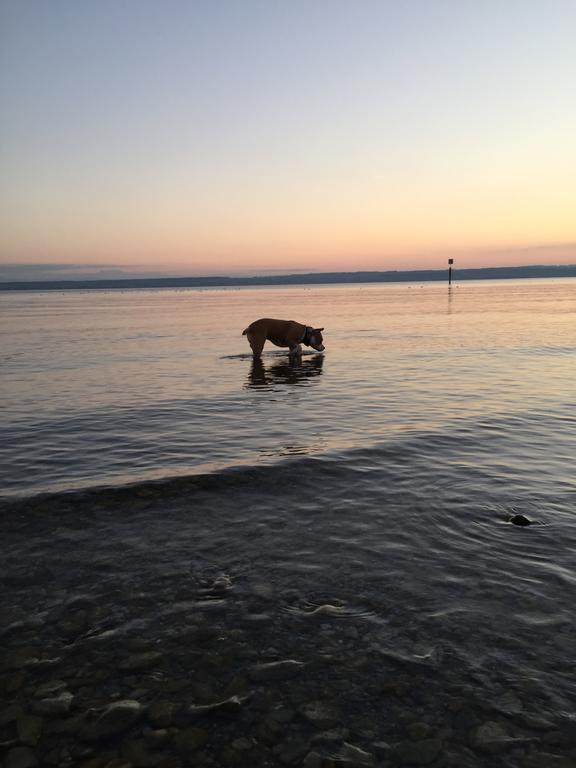 Strandhaus Hagnau Otel Dış mekan fotoğraf